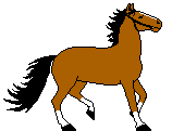 chevaux-13.gif