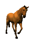 chevaux-21.gif