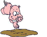 Pigs Animated