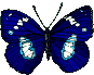 papillons-20.gif