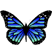 papillons-37.gif