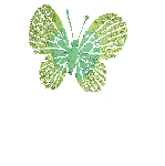 papillons-50.gif