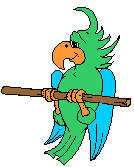 perroquets-16
