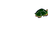 http://www.bestgraph.com/gifs/animaux/tortues/tortues-11.gif