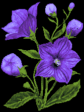 fleurs-65.gif